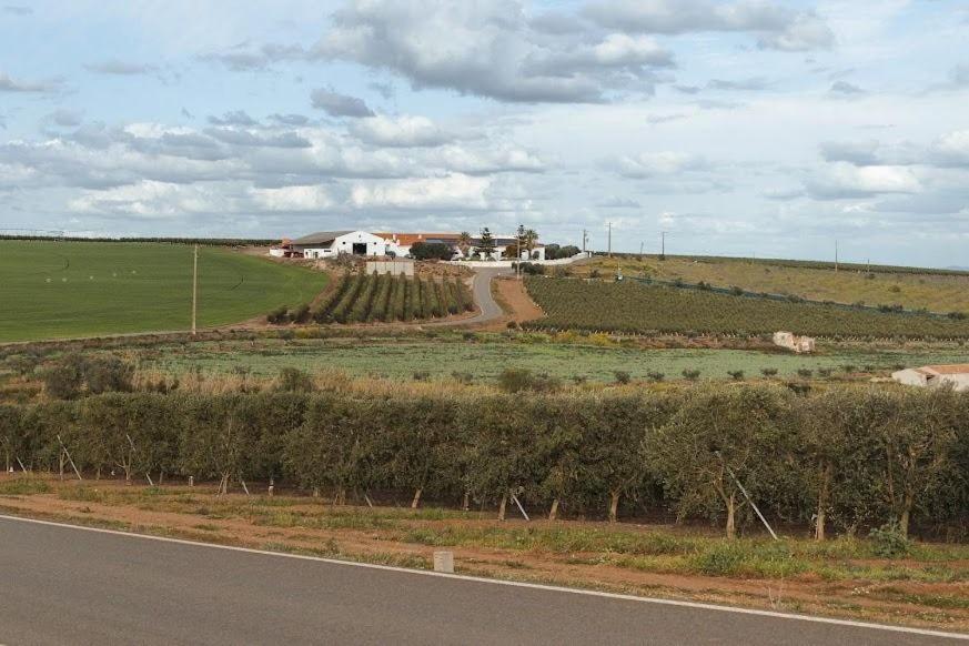 Quinta Do Castelo Hotell Beja Exteriör bild